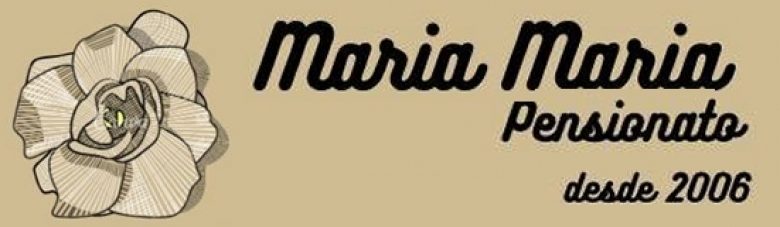 Pensionato Executivo Feminino  | Pensionato Maria Maria